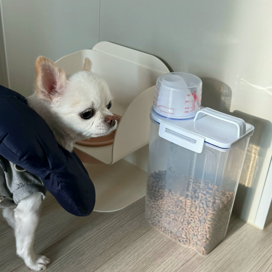 대상 동물이 다른 사료를 구분해 보관하는 모습
