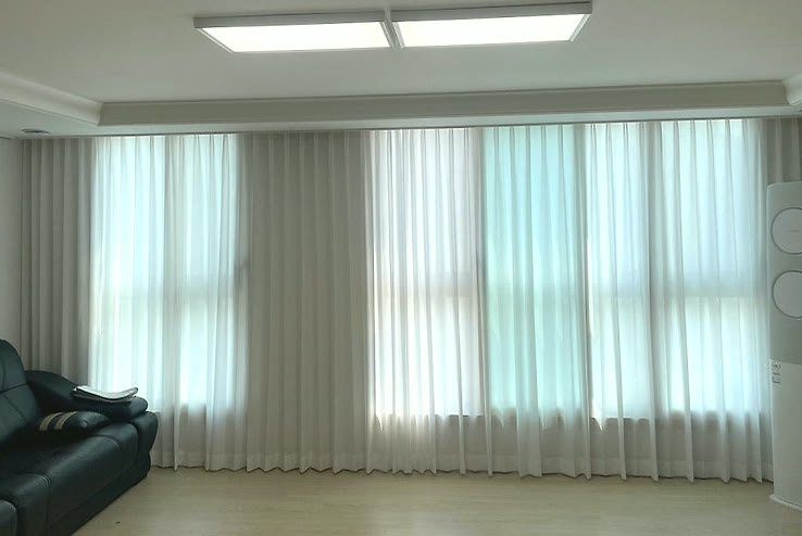 일상 공간에 둔 이동장 내부를 보여주는 장면