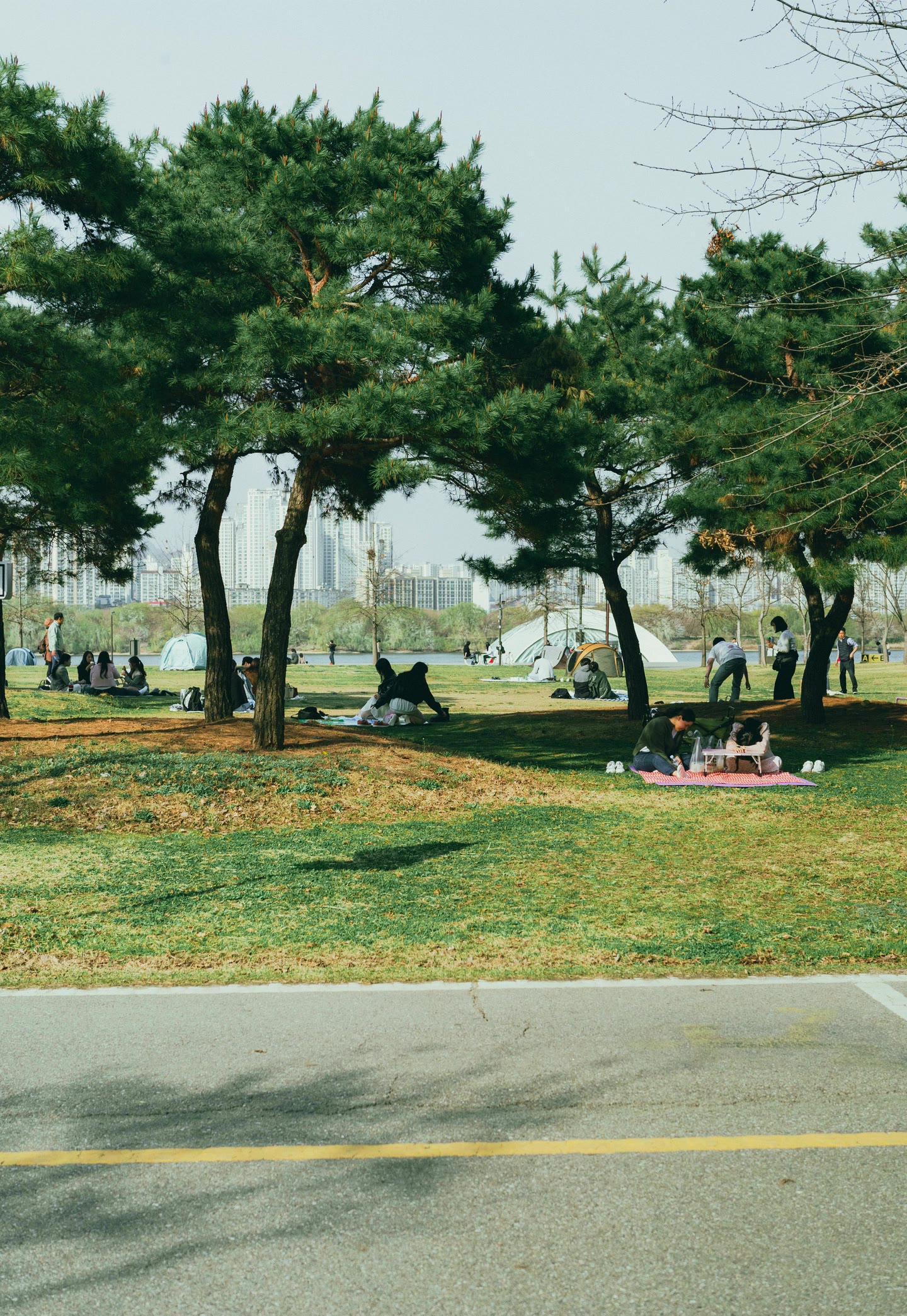 많은 참가자 사이에서 잠시 거리를 둘 수 있는 산책 환경