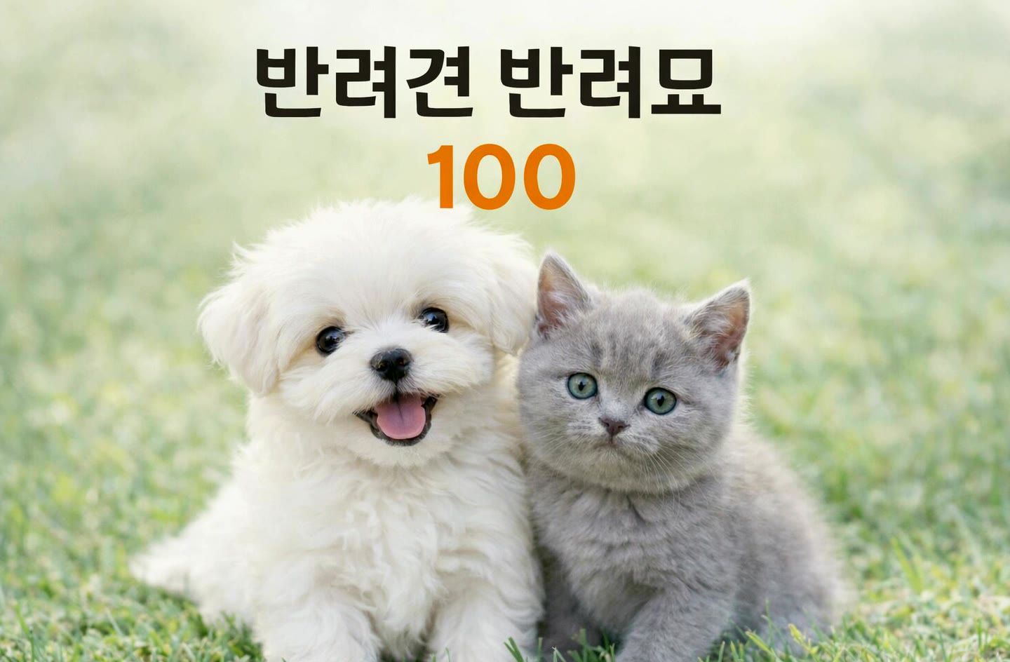 신청 전 보호자 연락처와 주소 정보를 확인하는 장면