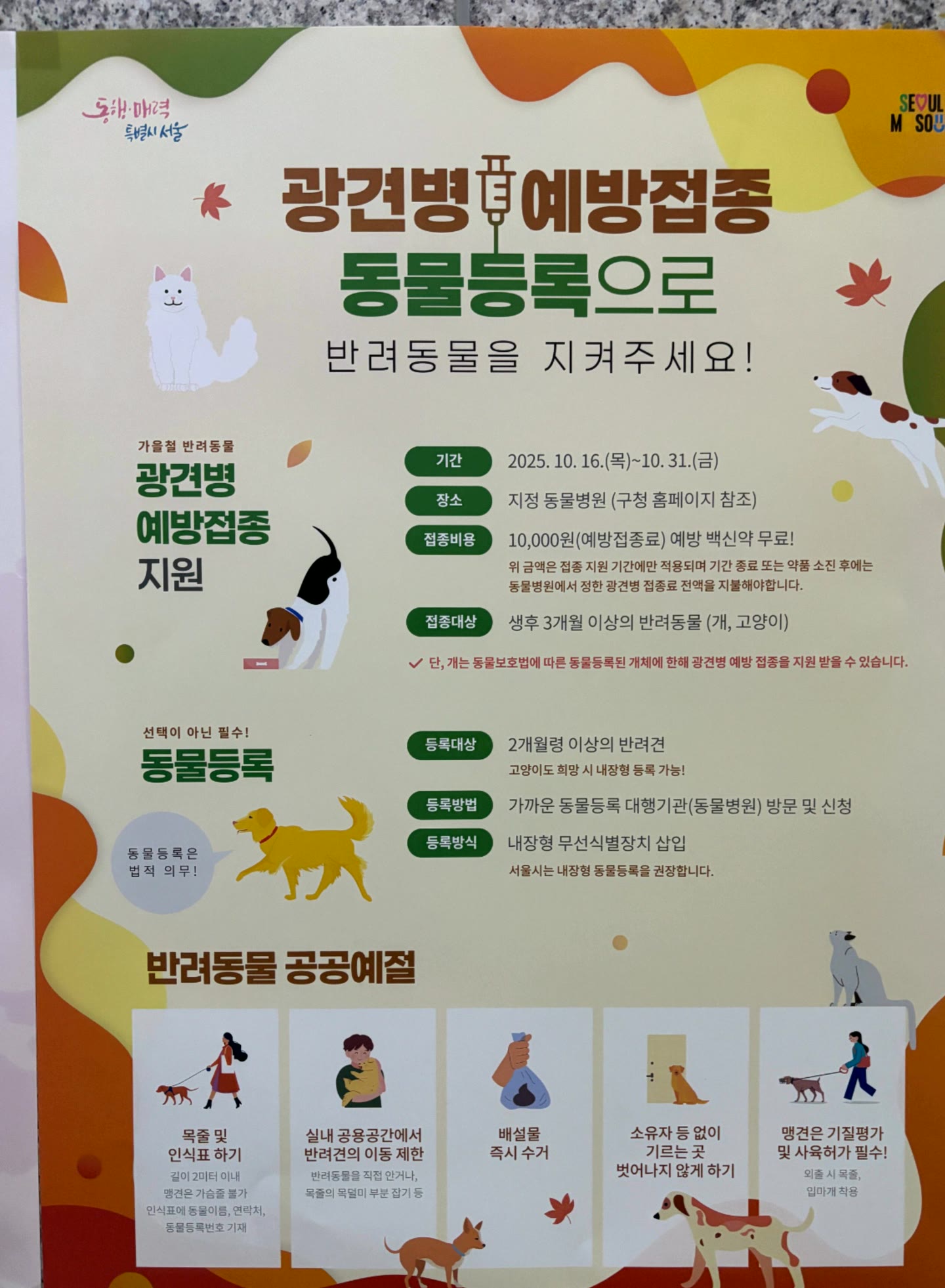 외출 전 접종 확인 서류와 목줄을 함께 준비한 모습
