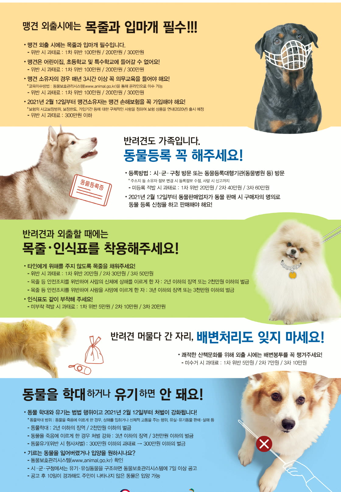 반려견 등록 정보와 보호자 연락처를 확인하는 장면
