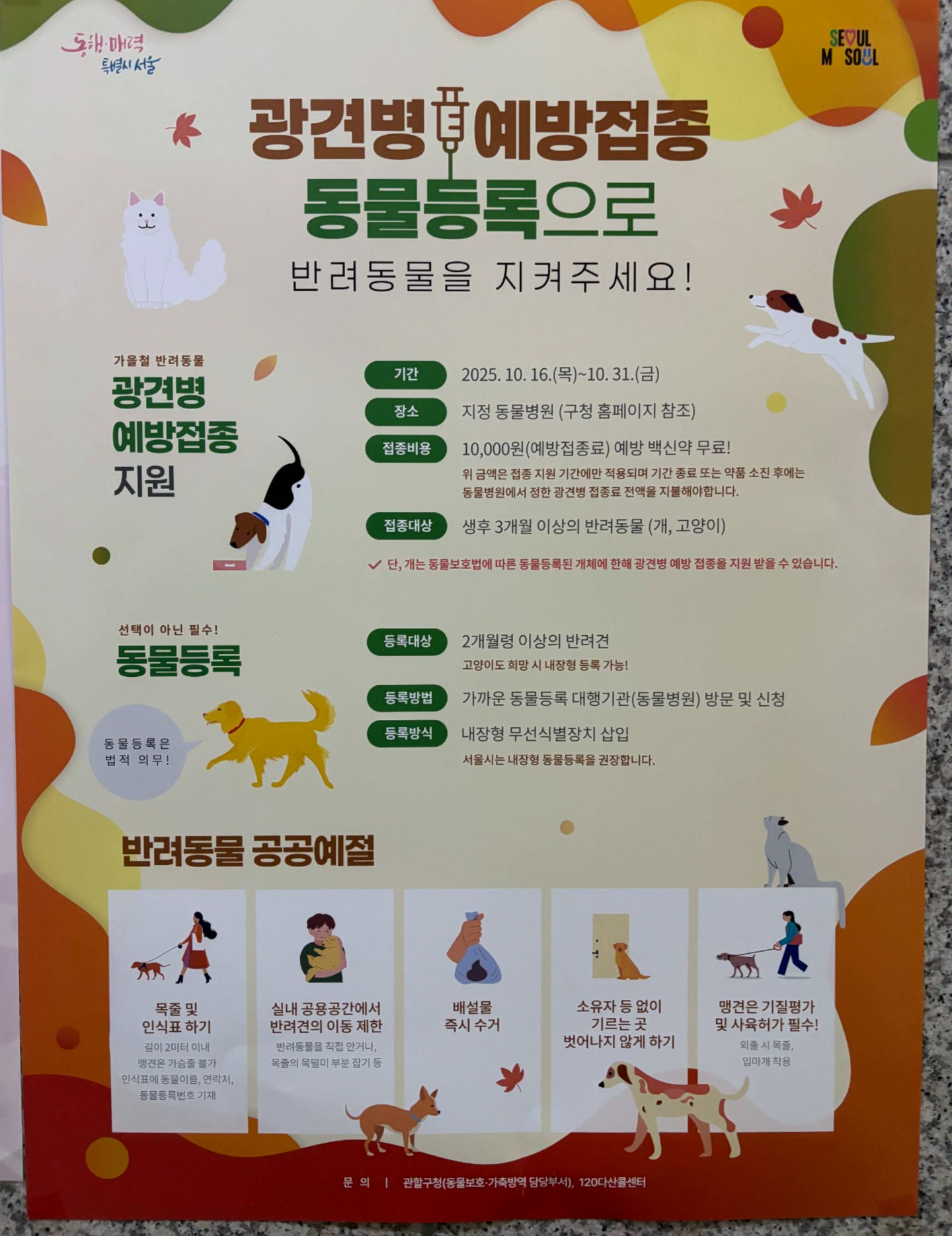 방문 전 지정 병원과 백신 잔여량을 확인하는 상황
